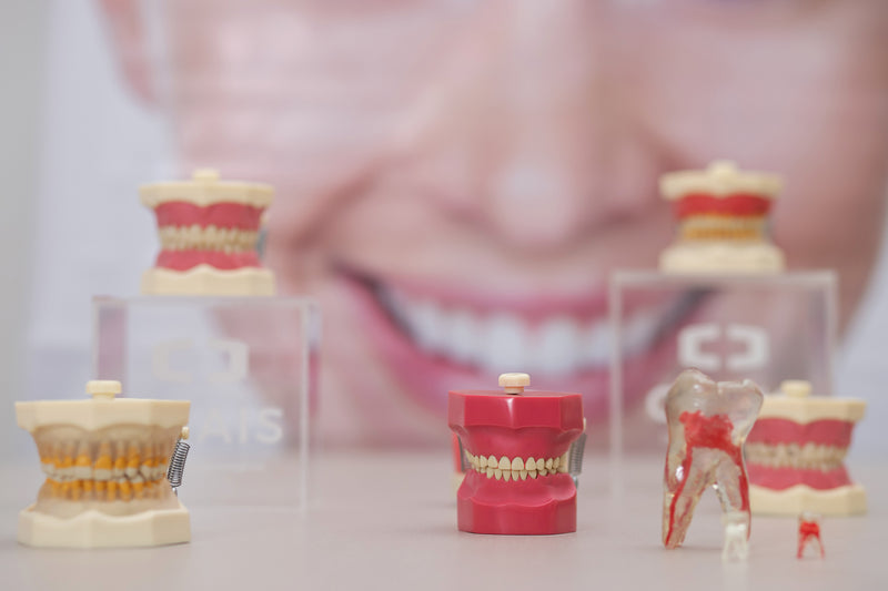 Dentoformos en odontología: la base de un aprendizaje clínico correcto