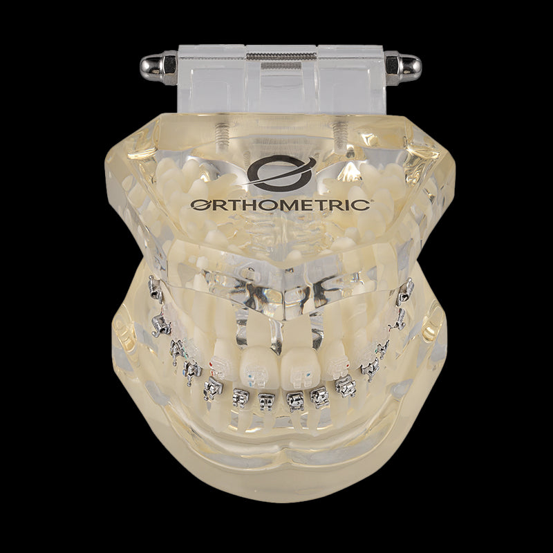 DENTOFORMO MODELO ORTODONTICO ICERAM-P/ICECLEAR/ADVANCED/U-CLIP ORTHOMETRIC