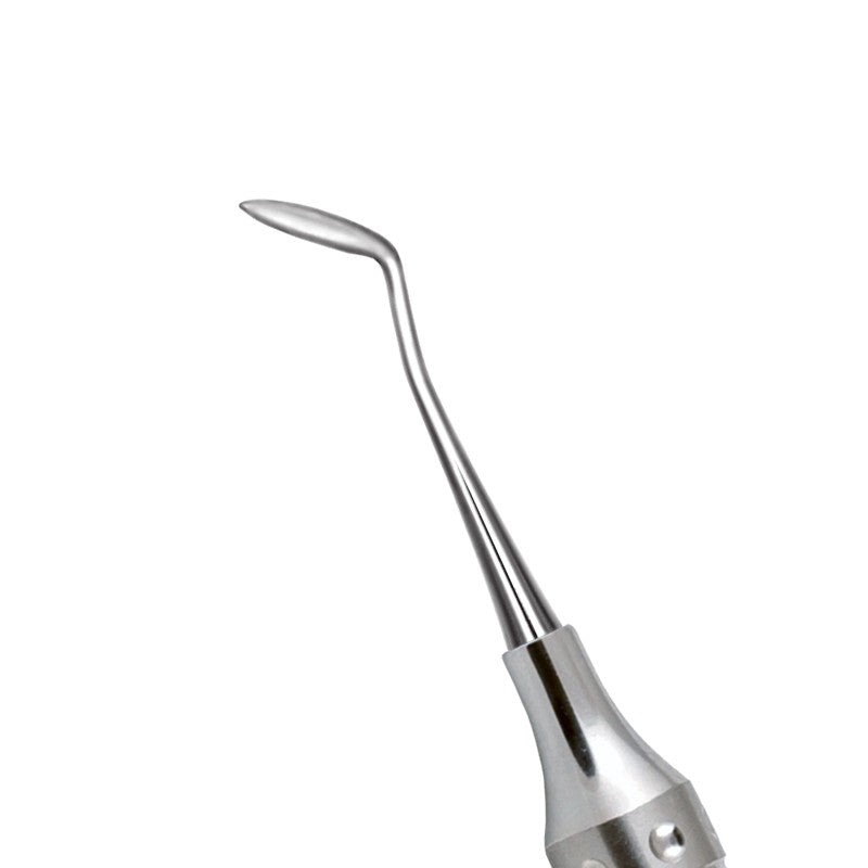 TALLADOR HOLLEMBACK