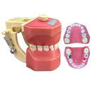 DENTOFORMO 603 ODONTOPEDIATRIA ELC C/CARIES ORAIS