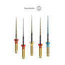 LIMAS RE-TREATY 25MM SURTIDO PERFECT