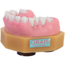 DENTOFORMO 304 PERIODONCIA ORAIS