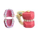 DENTOFORMO 602 ODONTOPEDIATRIA PLP C/CARIES ORAIS