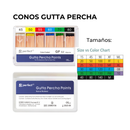 CONOS GUTTA PERCHA 02T 25 PERFECT