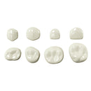 CORONA BIOFLX 2º MOLAR (ELR (85) 2) KIDS-E-DENTAL