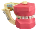 DENTOFORMO 602 ODONTOPEDIATRIA PLP C/CARIES ORAIS
