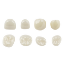 CORONA ZIRCONIA LATERAL ANTERIOR (52-62) 1) KIDS-E-DENTAL